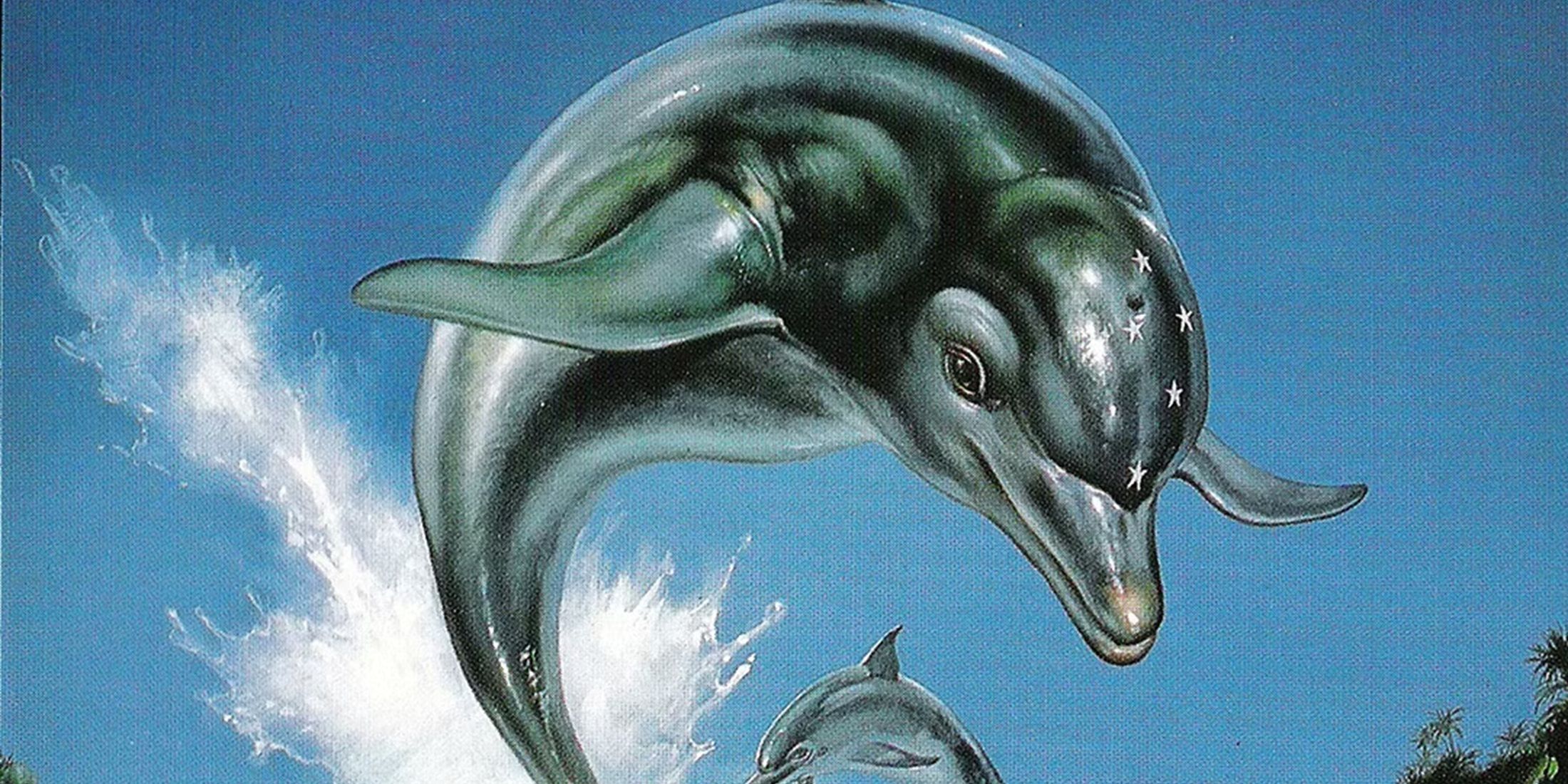 ecco the dolphin 25 yil sonra geri donuyor